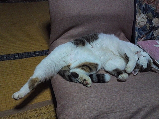 座椅子2