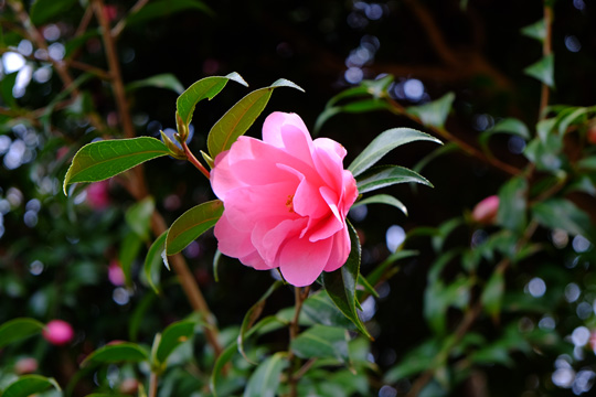 2016 03 31_2401.jpg