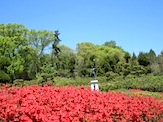 IMG_1312.JPG