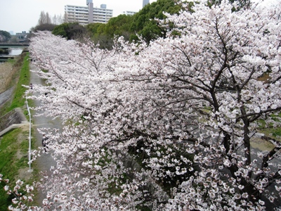 IMG_8938.JPG