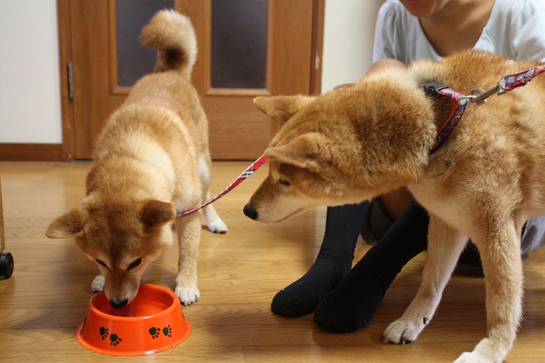 2013.10.1-4.JPG