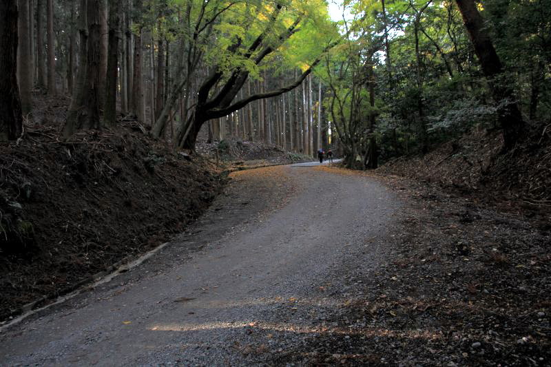 春日山_4-5.jpg