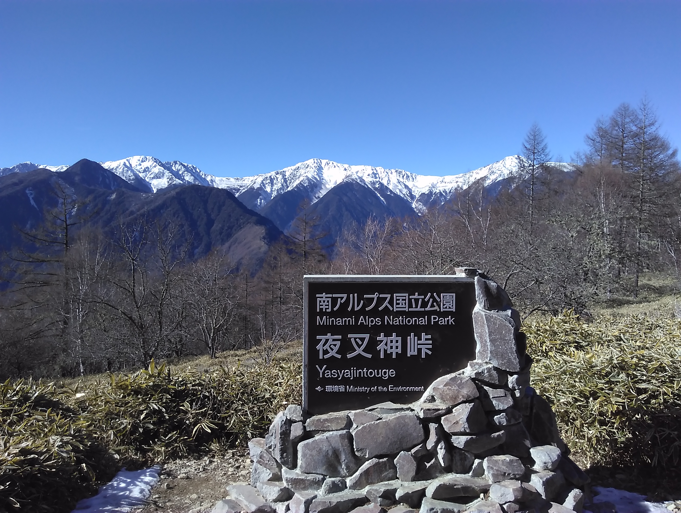 IMAG0019.jpg
