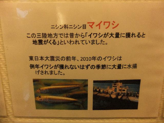 DSCF2784.jpg