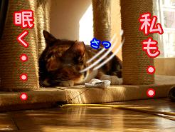 眠く.JPG