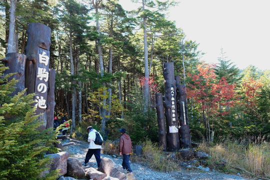 DSCF9509.jpg