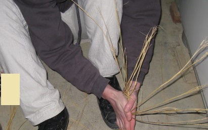 IMG_8737 縮小 - コピー.jpg