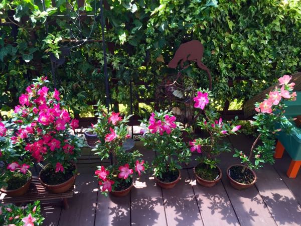 rblog-20160516073120-09.jpg