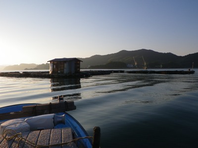 IMGP5649.JPG
