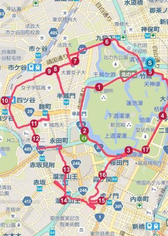 顔マラソン 2回目の皇居のスヌーピー Wancoの前十字靱帯リハビリ ココロのごちそう日記 楽天ブログ