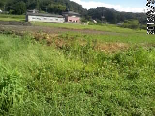 謎の空き地