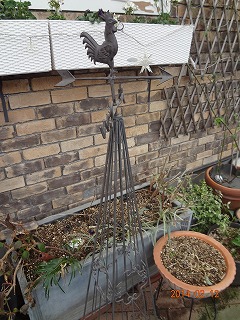 DSC04531.jpg