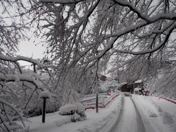 DSCN6232.jpg
