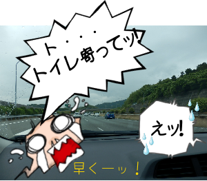 P6060029.png