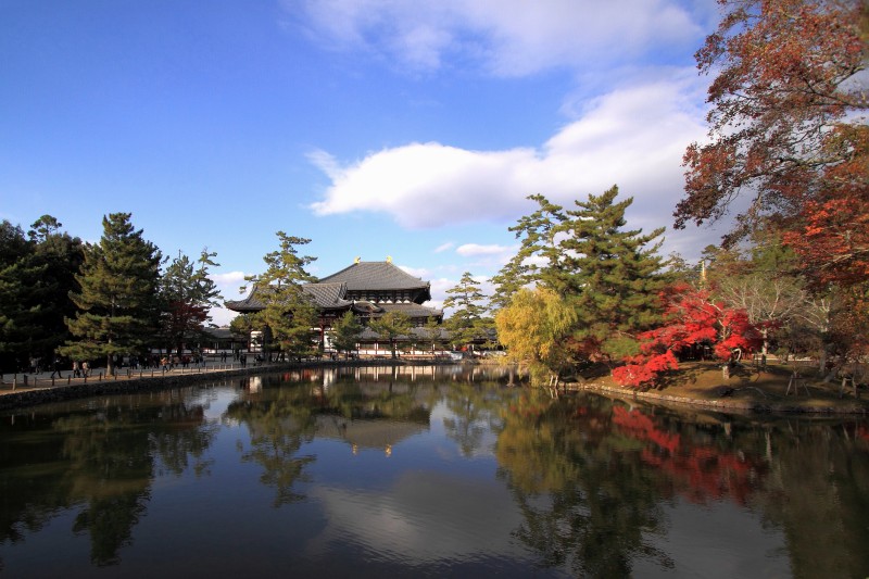 奈良公園・鏡池_003.jpg