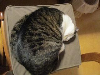 IMG_3912ss.jpg