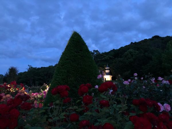 rblog-20180606202239-06.jpg