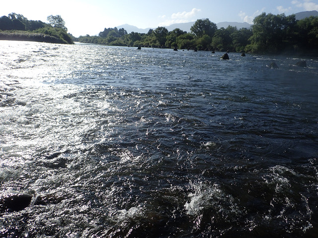 resize0035.jpg