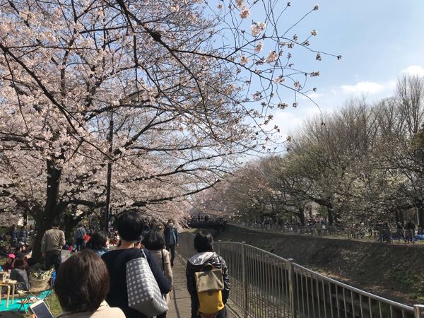 rblog-20190331200607-05.jpg