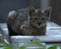 5DA_0900-25.jpg