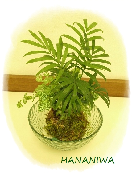 2012_0825トレッサ用寄せ植えとクレマチスの講座とカ0003.JPG