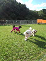 rblog-20131004195809-04.png