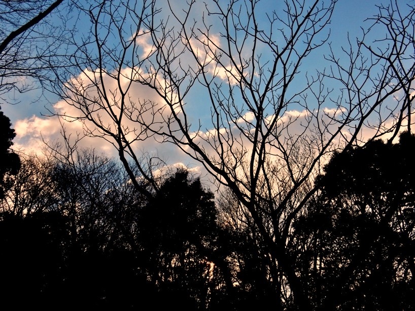夕暮れ0.JPG