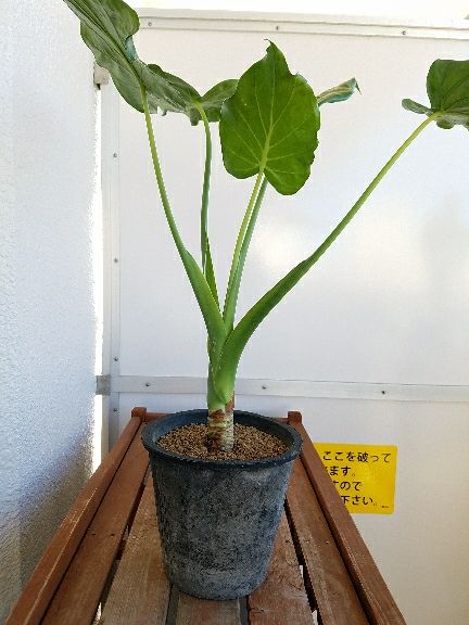 rblog-20171217130326-07.jpg