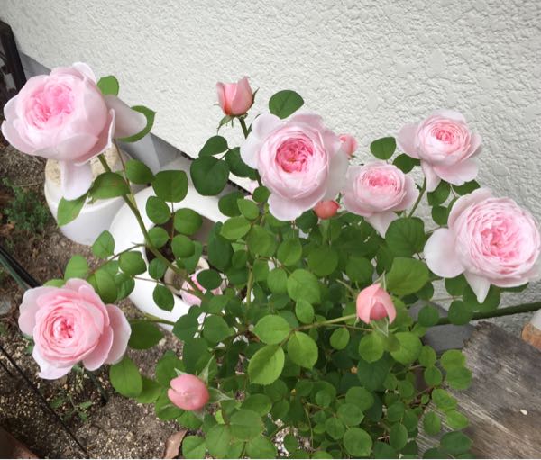 rblog-20180502175649-03.jpg