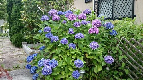 rblog-20170704182818-03.jpg