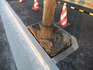 s-DSCF5037.jpg