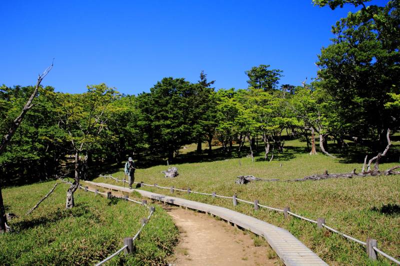 大台ケ原_003.jpg
