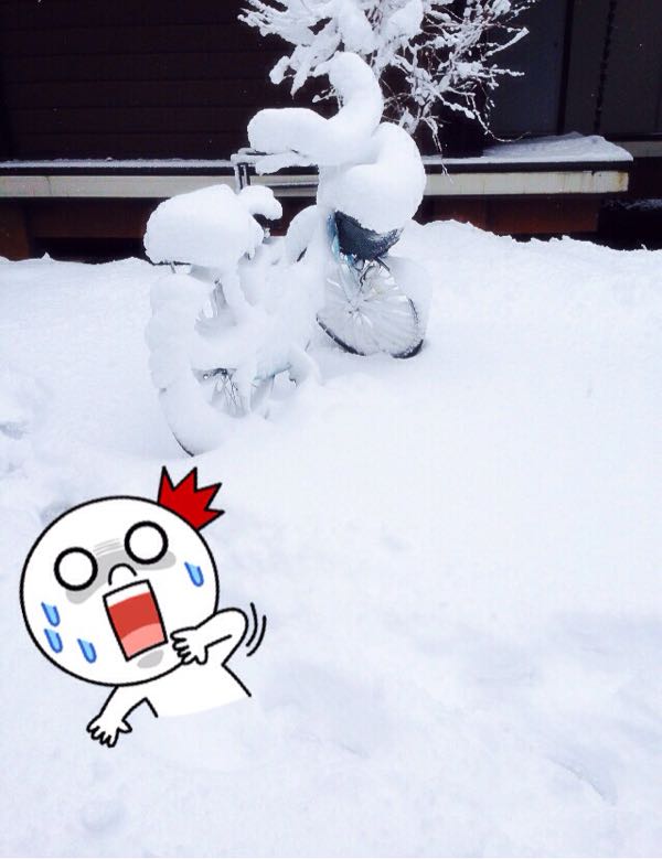 rblog-20150102153038-00.jpg