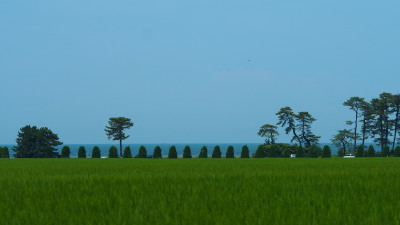 日本海　滑川　7.24　2016　ｐ