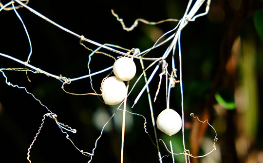 DSCF1082.jpg