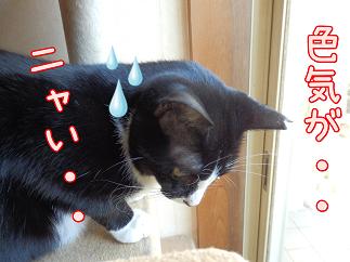 色気.JPG