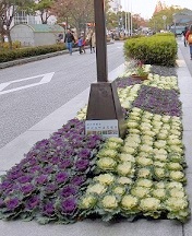 DSCN0642.,.jpg