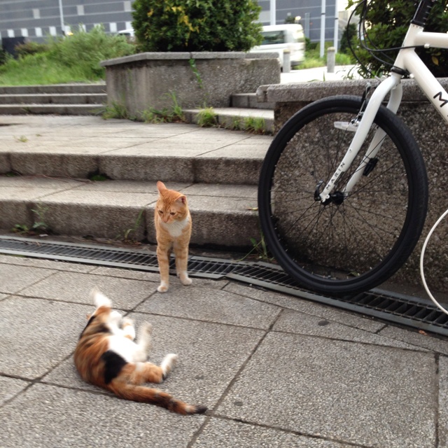 rblog-20130918020226-02.jpg