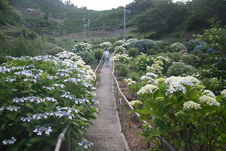 s-IMG_9932.jpg