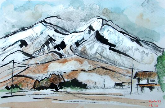 新着記事一覧 Turbo717 S Activity 楽天ブログ