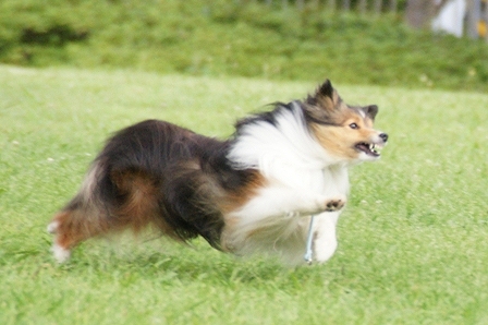 DSC03769.jpg