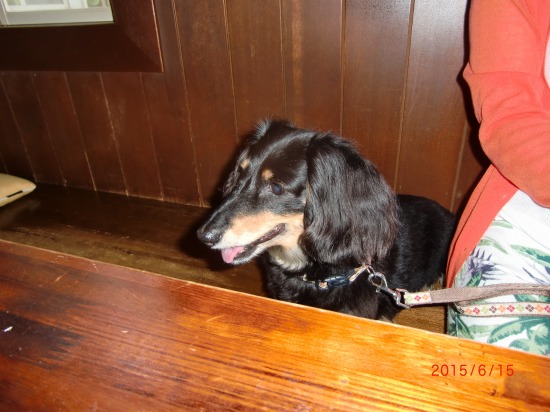 宇佐美海岸、渚のレストラン 021.jpg