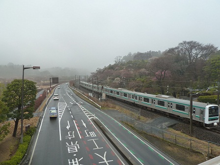 3月18日 056.JPG