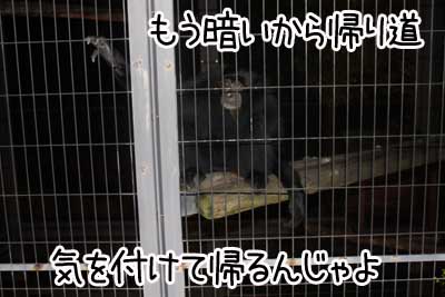 夜２２.JPG