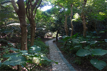 沖縄291.jpg