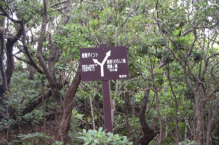 s-DSC_0891.jpg