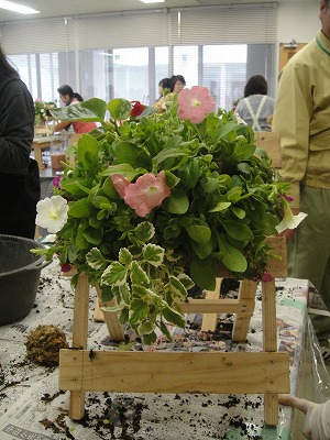 DSC09412.jpg