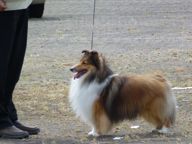 P1010748 - コピー.JPG