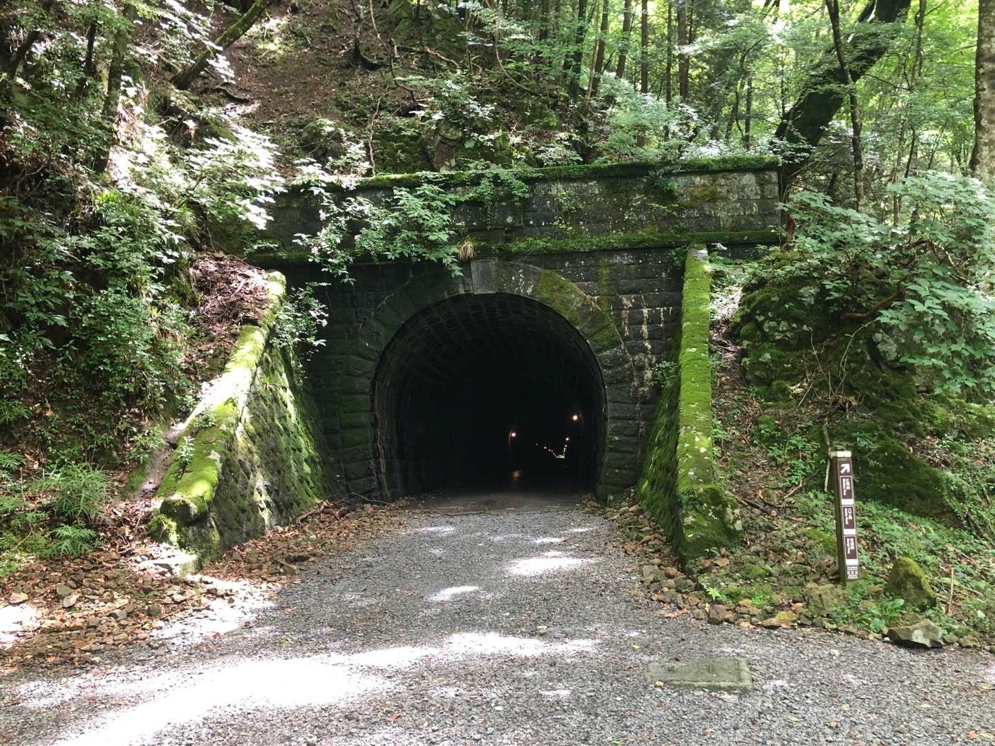 日本百名山 天城越えを歌いながら天城山縦走ラン ニッポンのオッさんがいろいろ運動やってみたことのご報告 楽天ブログ