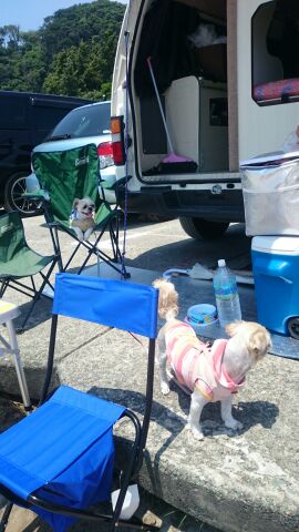 rblog-20140717133201-01.jpg
